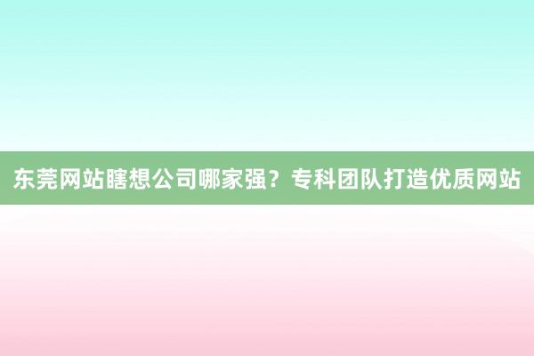 东莞网站瞎想公司哪家强？专科团队打造优质网站