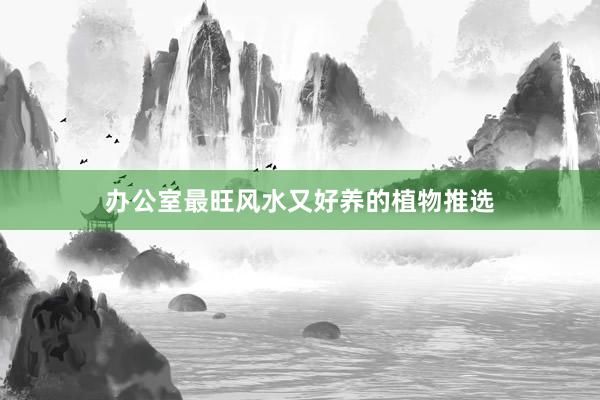 办公室最旺风水又好养的植物推选