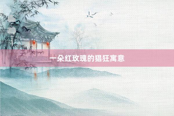一朵红玫瑰的猖狂寓意